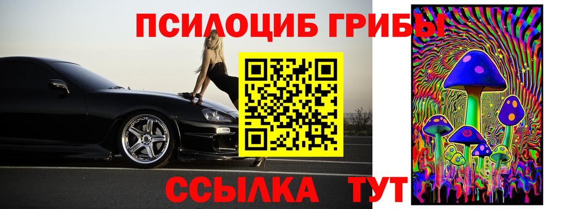 Псилоцибиновые грибы мицелий Михайловск